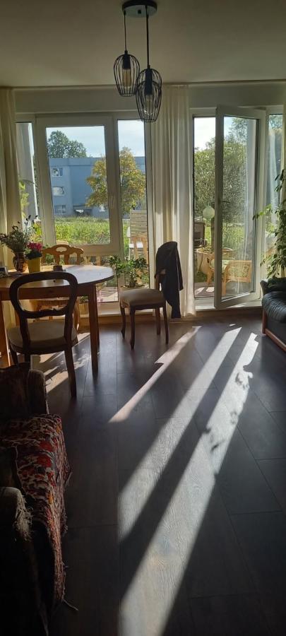 Gruene Stadtwohnung Saarbrücken Eksteriør bilde